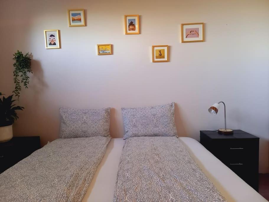 Ferienwohnung Þorsmoerk Farm 12 Min From Akureyri Svalbarthseyri Exterior foto